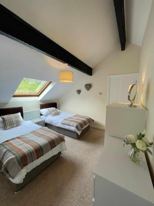Riverside Retreat Llandysul エクステリア 写真