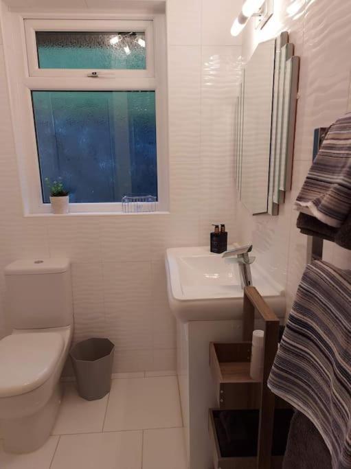 Riverside Retreat Llandysul エクステリア 写真