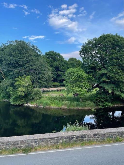 Riverside Retreat Llandysul エクステリア 写真