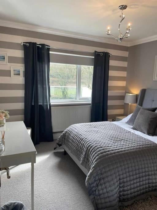 Riverside Retreat Llandysul エクステリア 写真