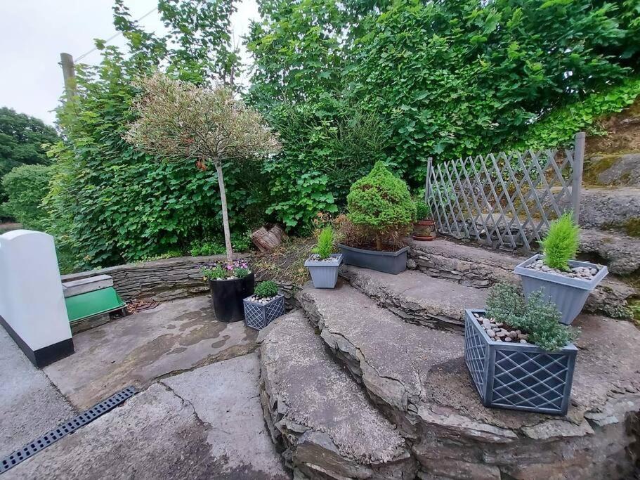 Riverside Retreat Llandysul エクステリア 写真