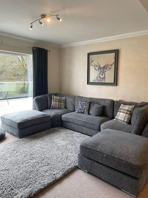 Riverside Retreat Llandysul エクステリア 写真